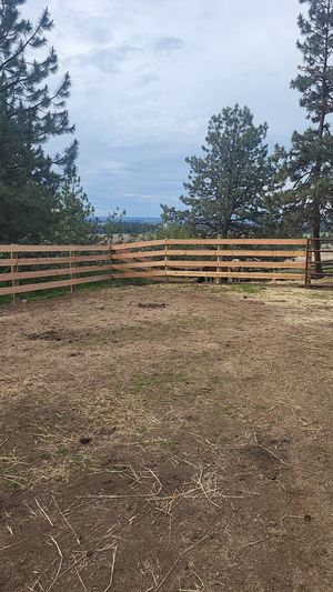 A wooden fence surrounds a field with trees in the background.