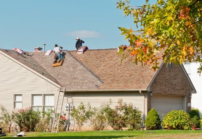 Roofers working on a brown shingled roof of a light beige house. A ladder leans against the building.