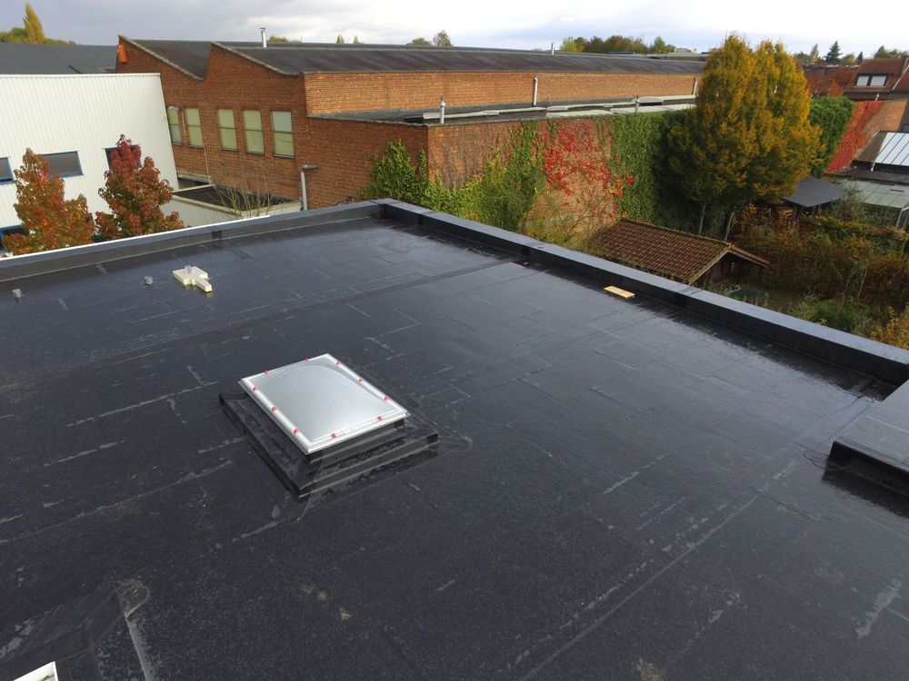 Black flat roof with a skylight; background features a brick building and autumn trees.