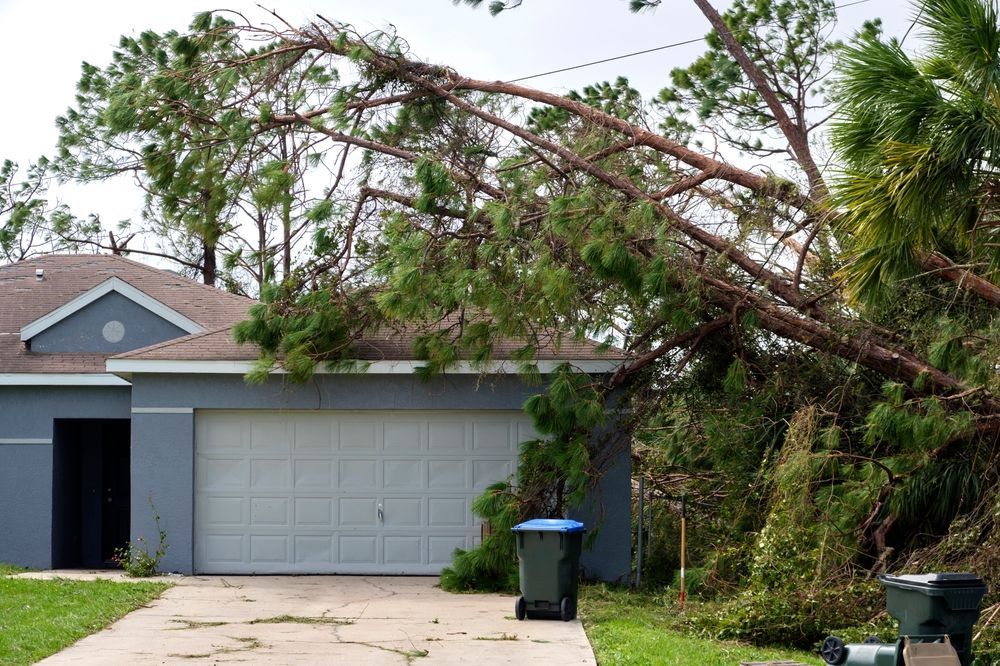 Tree branch fallen on a house with a garage, debris scattered on the driveway, and a blue trash bin.