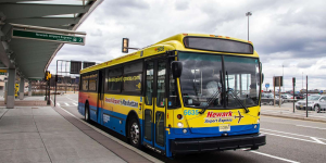 A blue and yellow bus is parked at a bus stop.