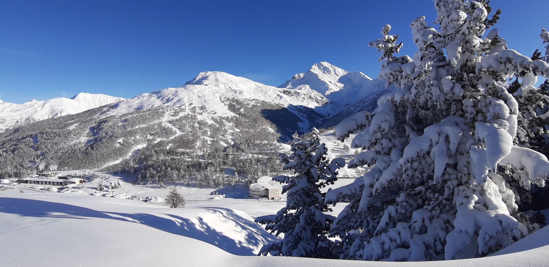 suite in montagna