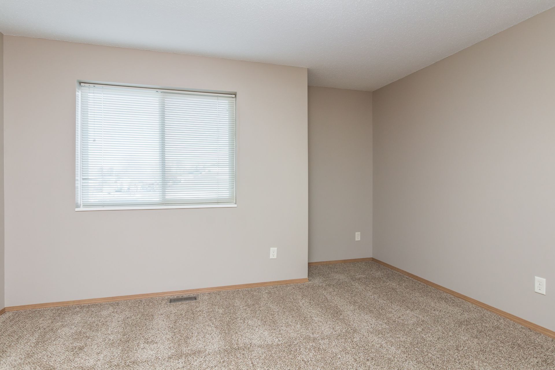 Saddle Creek - Image 4