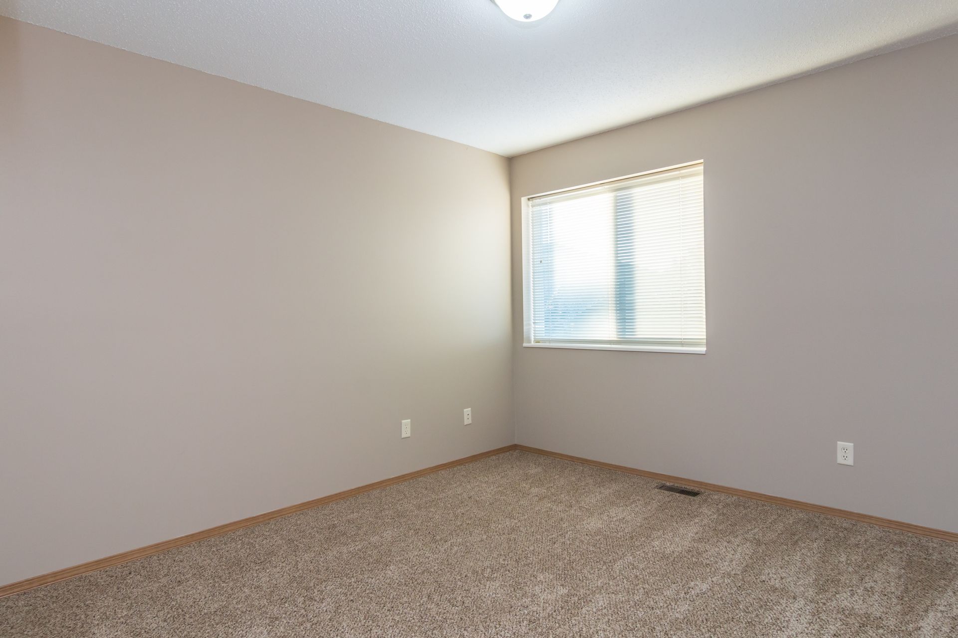 Saddle Creek - Image 6