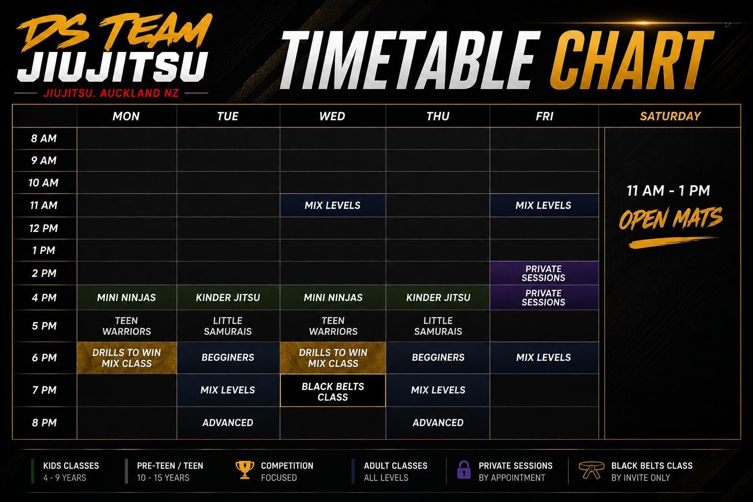 DS Team Jiu Jitsu weekly timetable chart on a dark background with class times and open mats listed