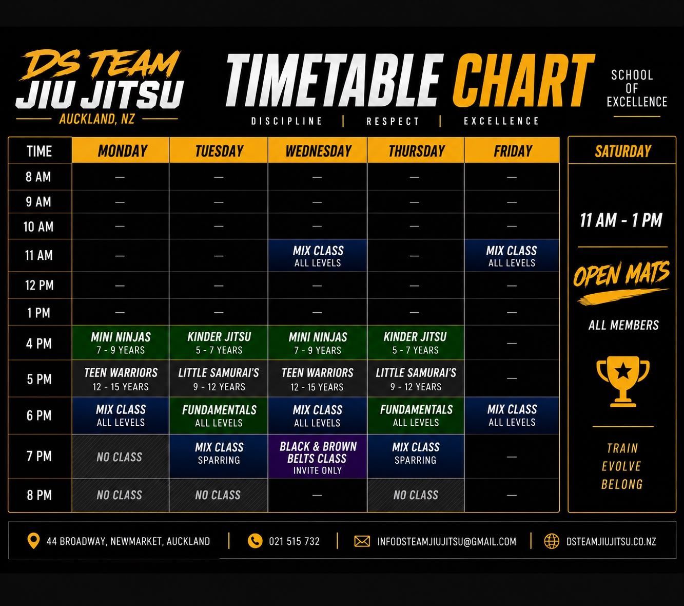DS Team Jiu Jitsu weekly timetable chart on a dark background with class times and open mats listed