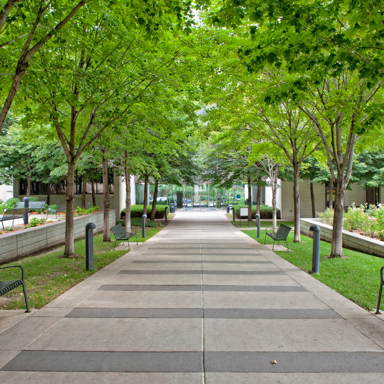 Concrete Sidewalks