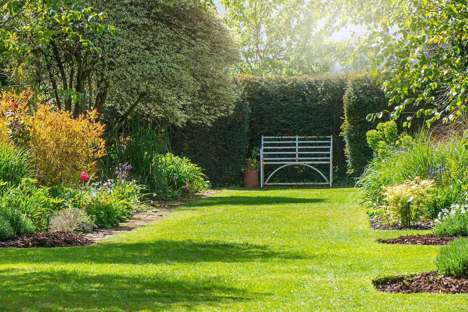 A large lush green lawn with a house in the background.