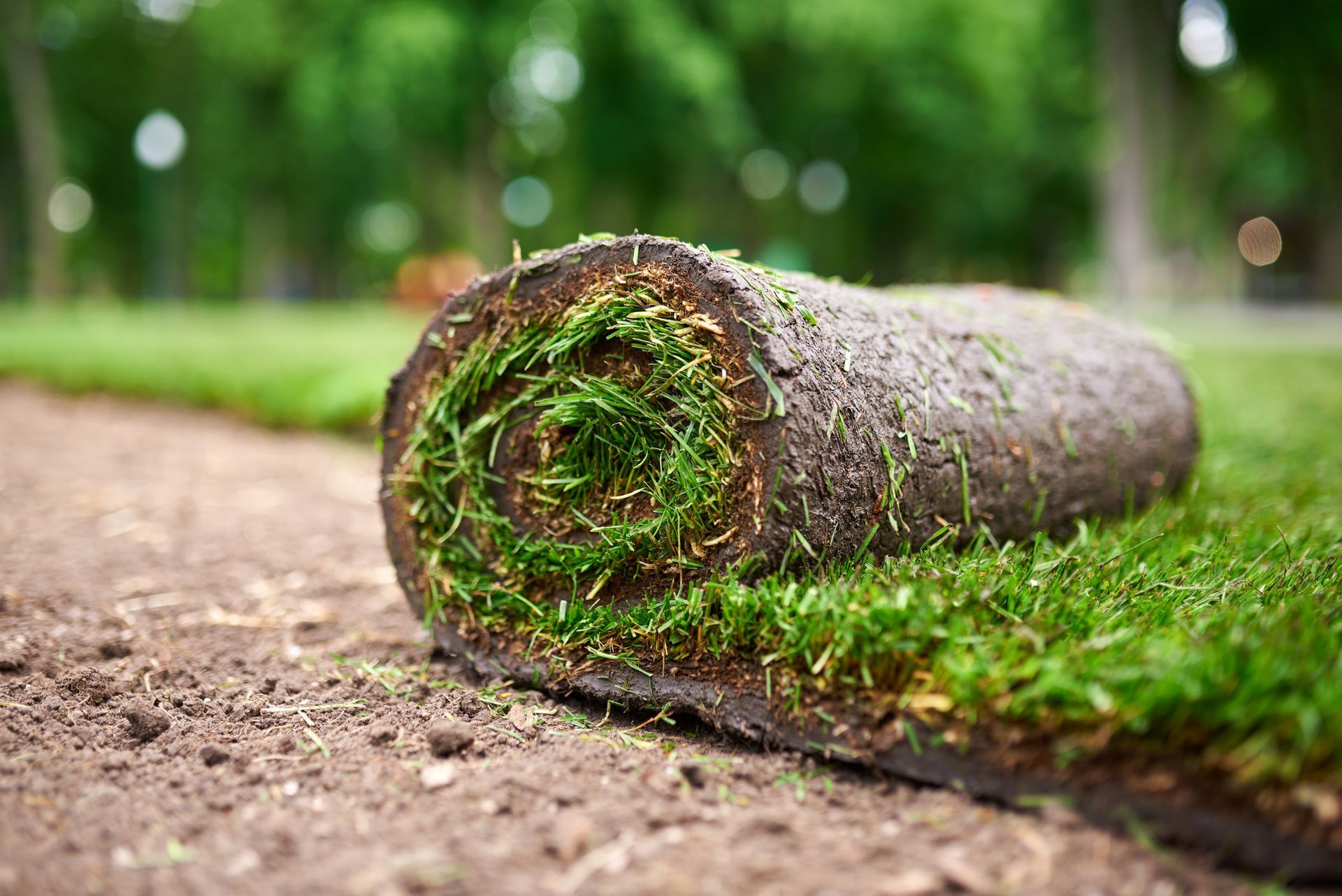 A roll of turf is sitting on the ground.