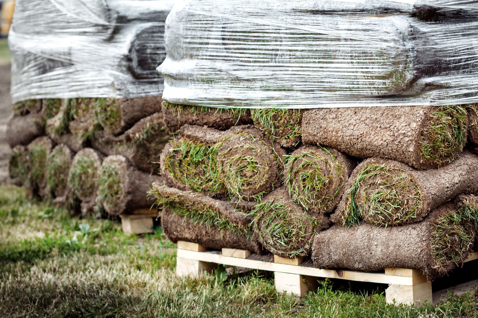 A pile of rolls of turf sitting on top of a wooden pallet.