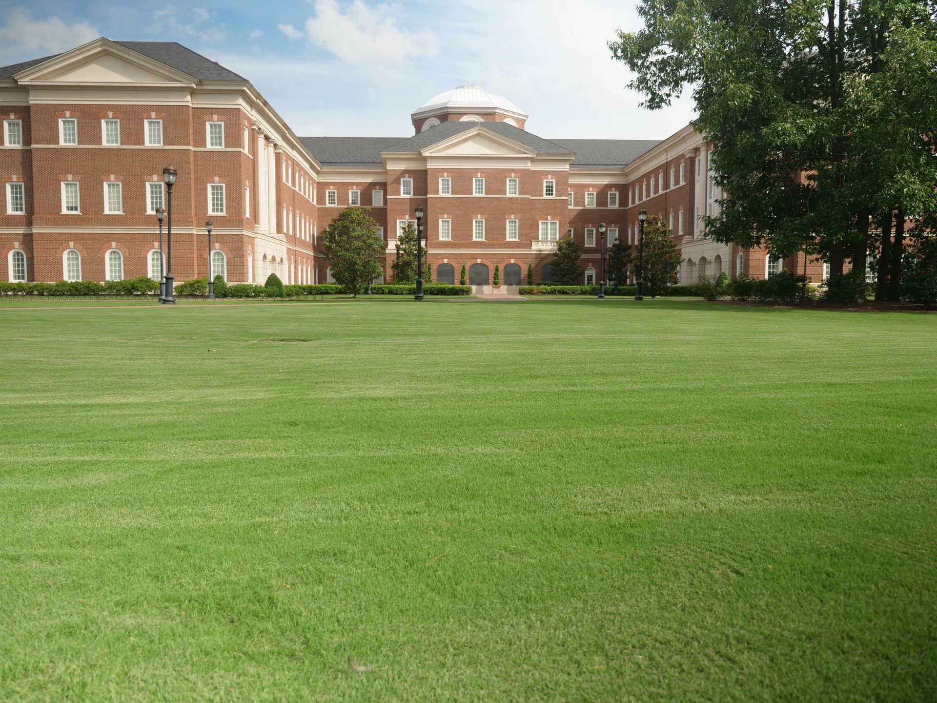 A large lawn with trees and bushes in a park with a building in the background.