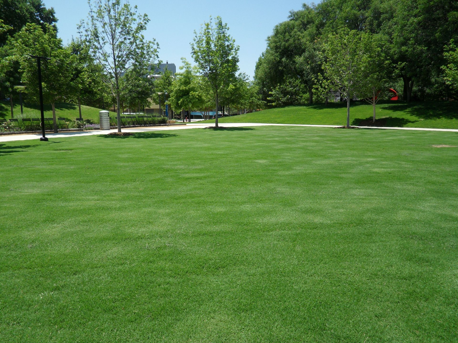 A close up of a lush green field of grass.