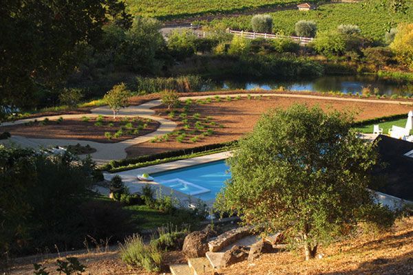 Terraced garden with a blue pond and lush greenery in warm sunlight