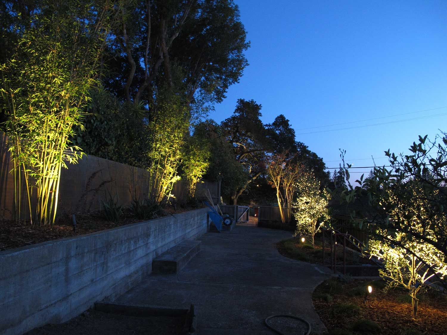 Illuminated garden path at dusk with trees, shrubs, and a curved concrete wall