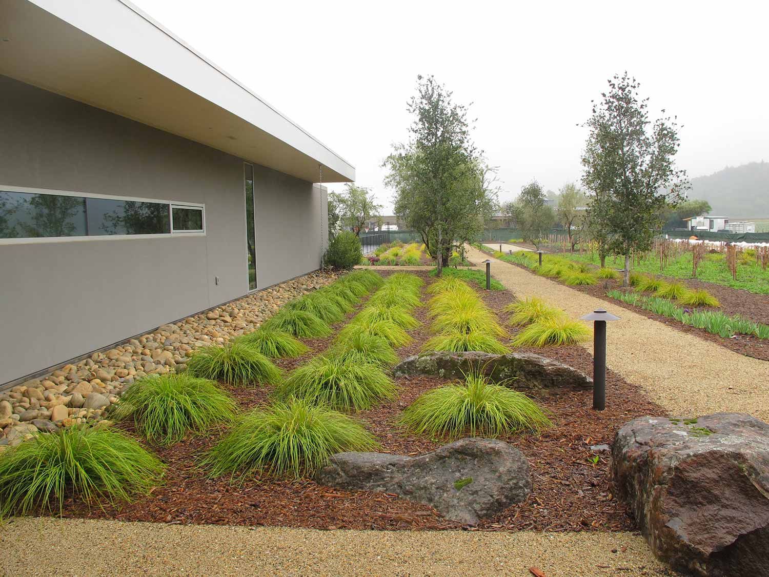 Landscaped garden with green groundcover, trees, rocks, and a modern building on the left.