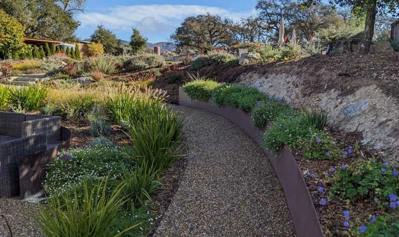 Curved gravel garden path beside purple flowers, shrubs, and trees under a blue sky
