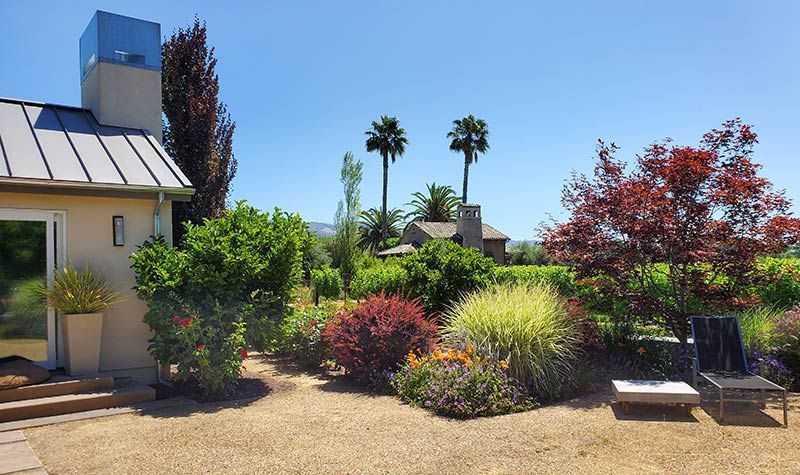 Landscaped backyard with shrubs, palm trees, and lounge chairs beside a house