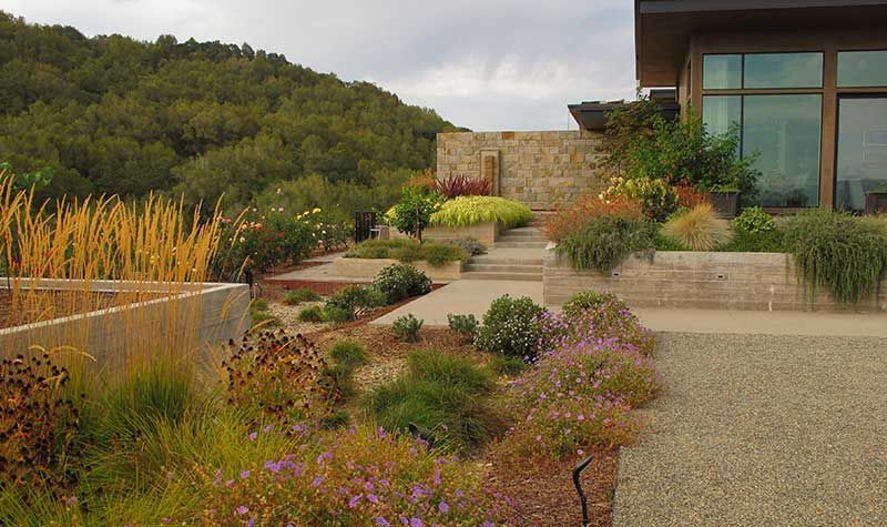 Modern house terrace with gravel path, native plants, and hillside view