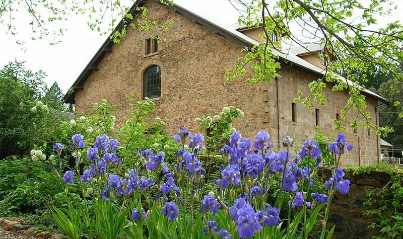 Stone building with arched windows behind a garden of purple flowers and green foliage