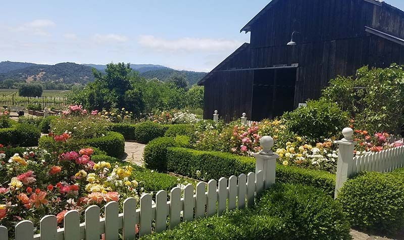 Flower garden with white picket fence beside a dark barn, set against green hills and a blue sky