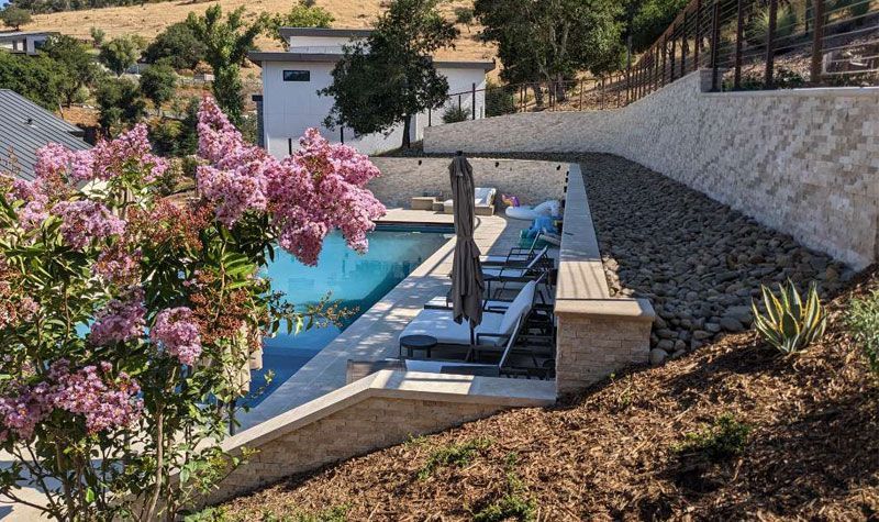 Modern pool with blue water, lounge chairs, and pink flowering tree in a landscaped hillside garden