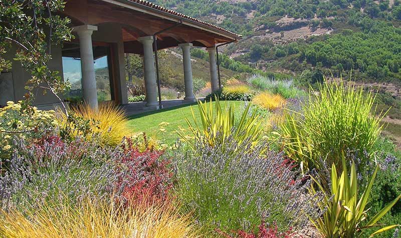 Colorful garden flowers beside a shaded patio overlooking a sunny hillside landscape