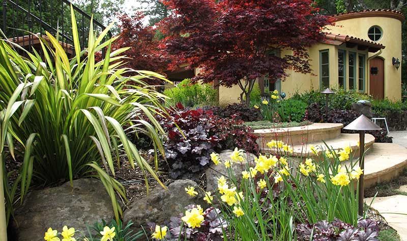 Lush garden with yellow flowers, red-leaf shrubs, and a cream house in the background