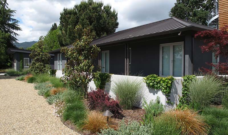 Modern house with white walls, dark roof, and lush landscaped garden beside a gravel driveway