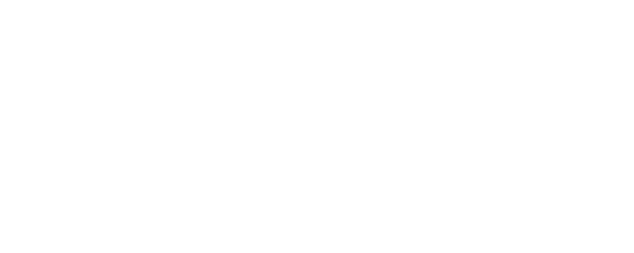 dunlop gomeria motos logo