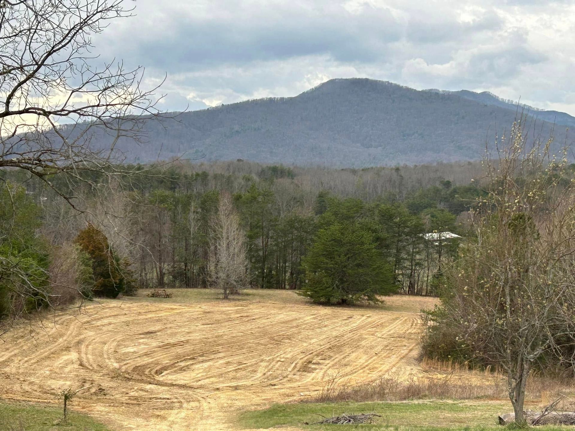 A field with a mountain in the background and trees in the foreground