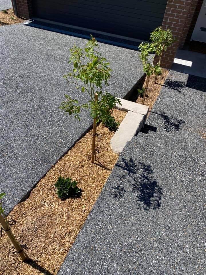 Concrete Stairs with Plants- Concreting in Southern Highlands, NSW