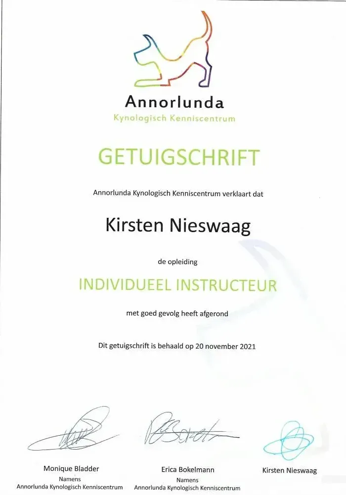 Getuigschrift