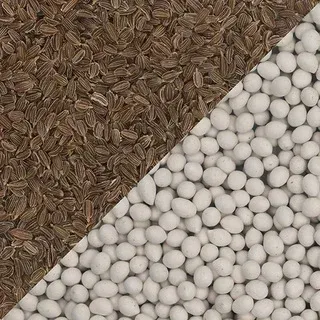Close-up of two piles of seeds: brown striped seeds and white round pellets divided diagonally.