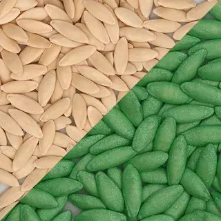 Abstract pattern of tan and green seeds divided diagonally into two sections