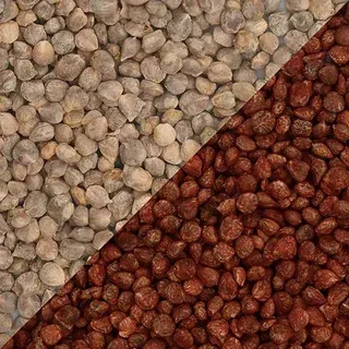 Diagonal split of beige and red pebbles forming a textured abstract pattern