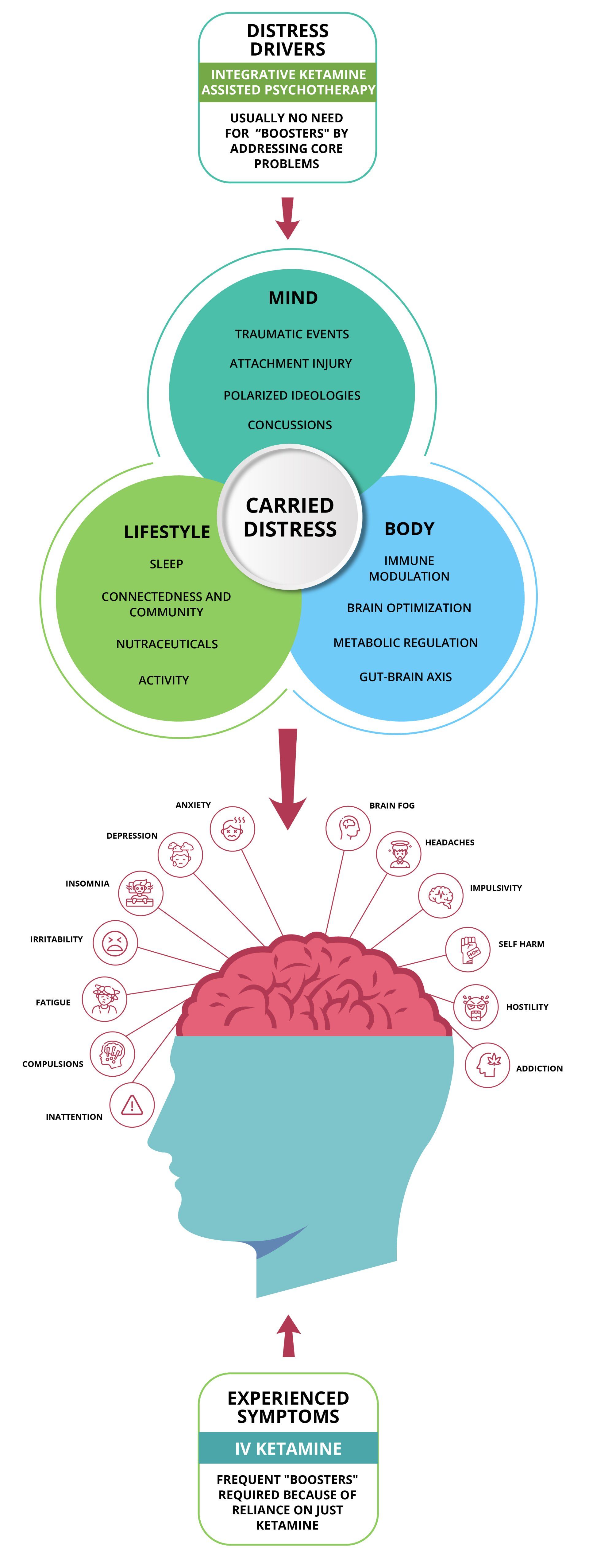A diagram of a person 's brain with circles around it