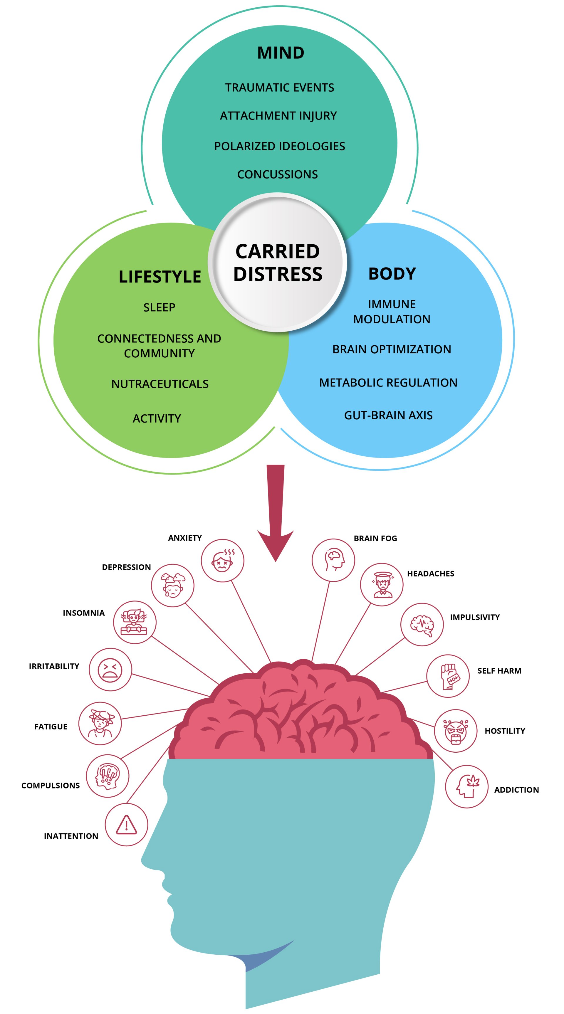 A diagram of a person 's brain showing different types of stress