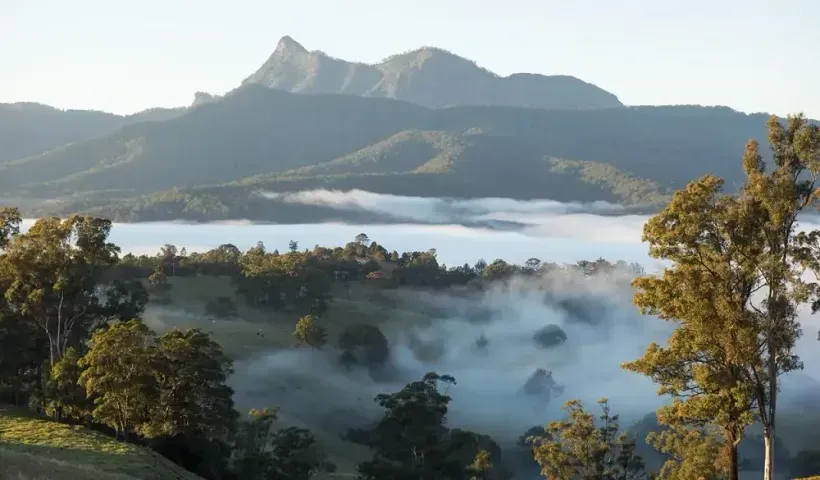 Mt Wollumbin