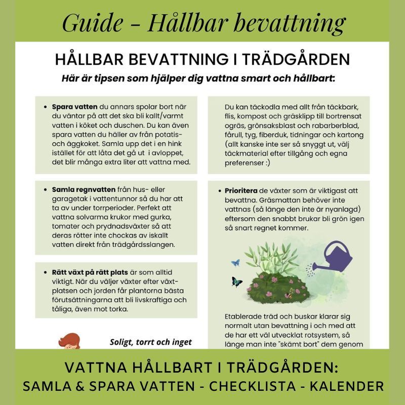Guide till att vattna hållbart i trädgården