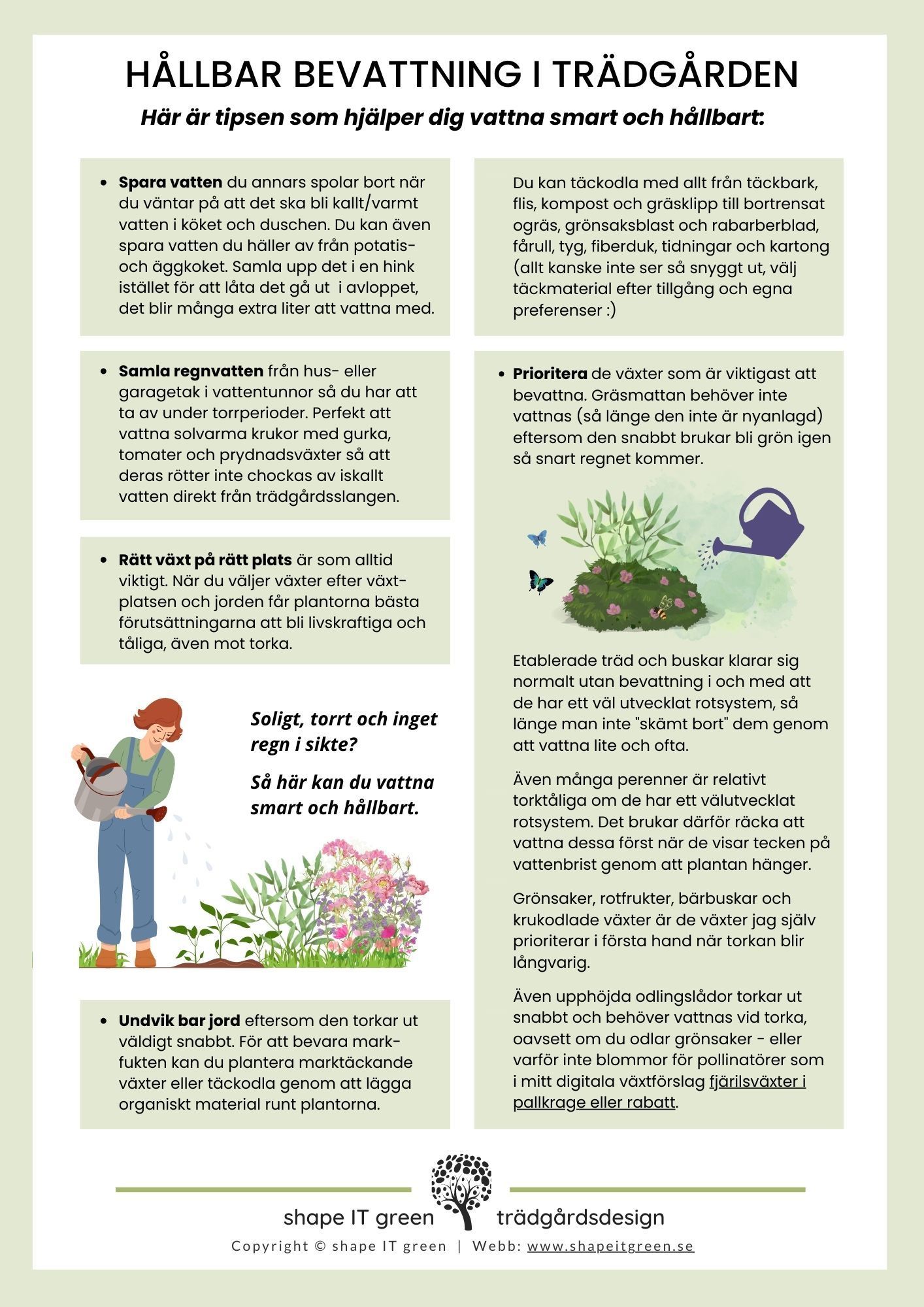 Guide till att vattna hållbart i trädgården