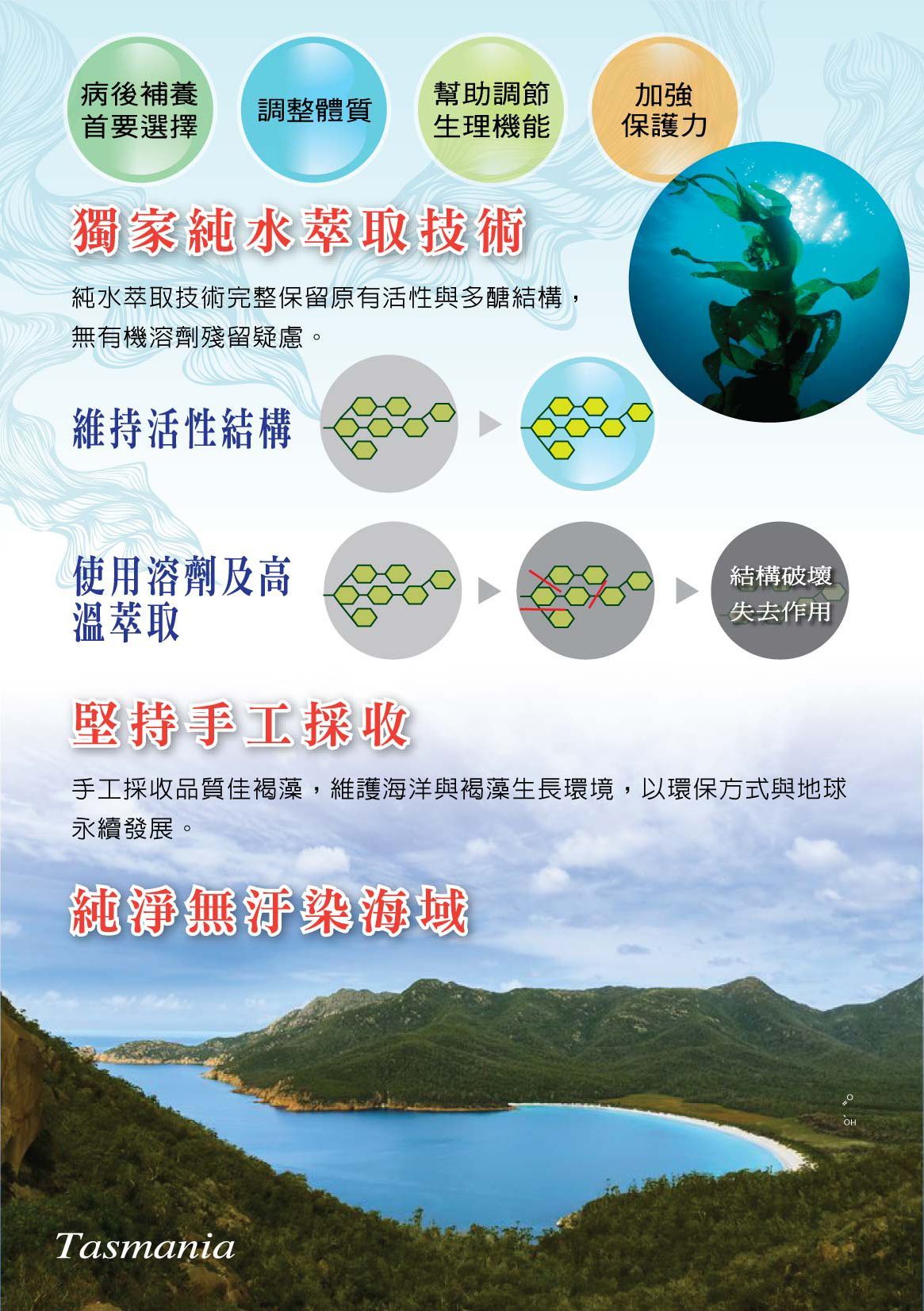褐藻醣膠DM4
