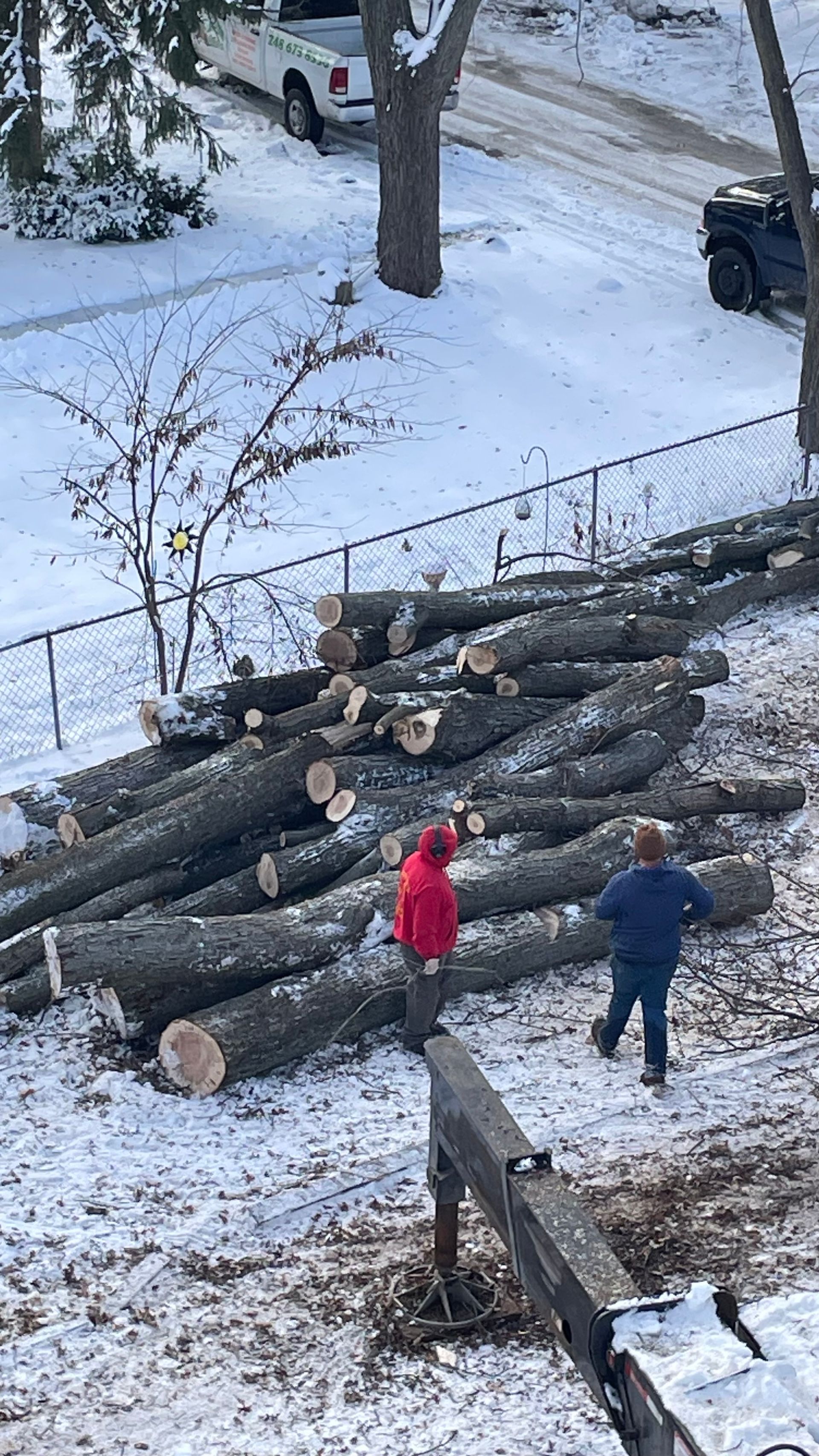 Two people in winter clothing stand in a snow-covered yard next to a large pile of felled tree logs.
