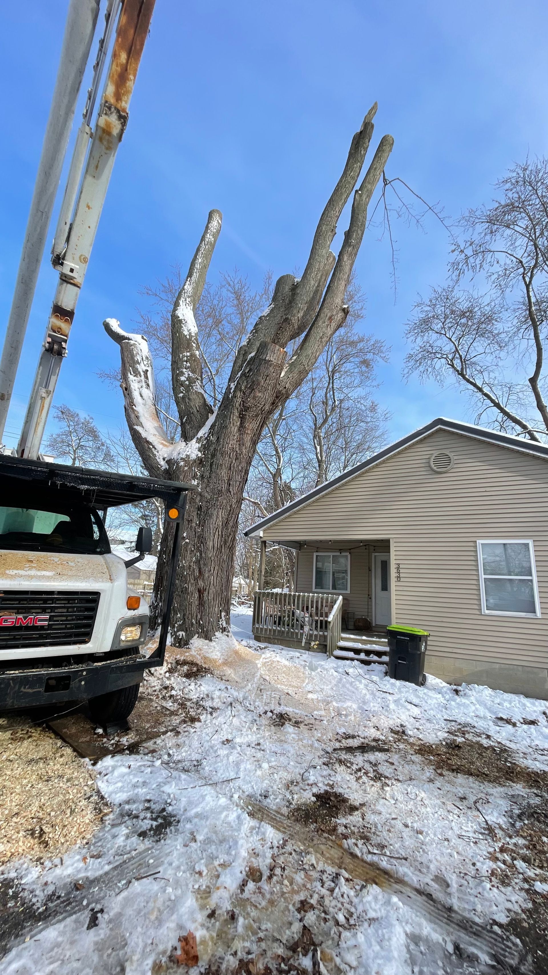 A crane parked on a snowy lot prepares to remove a large, pruned tree next to a house with camouflage-patterned siding.
