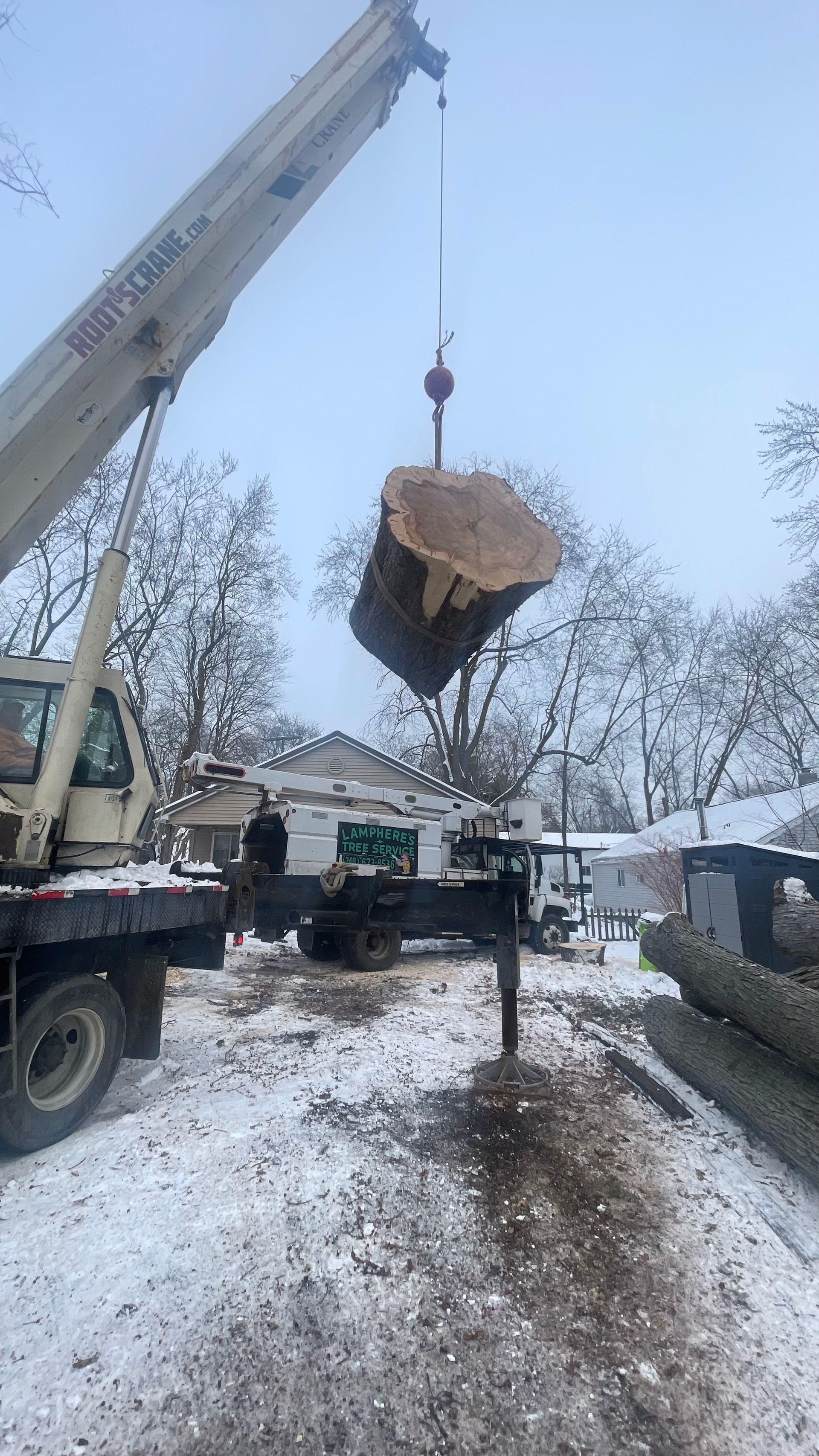A crane lifts a large, heavy log suspended in the air over a snowy, wooded residential area.