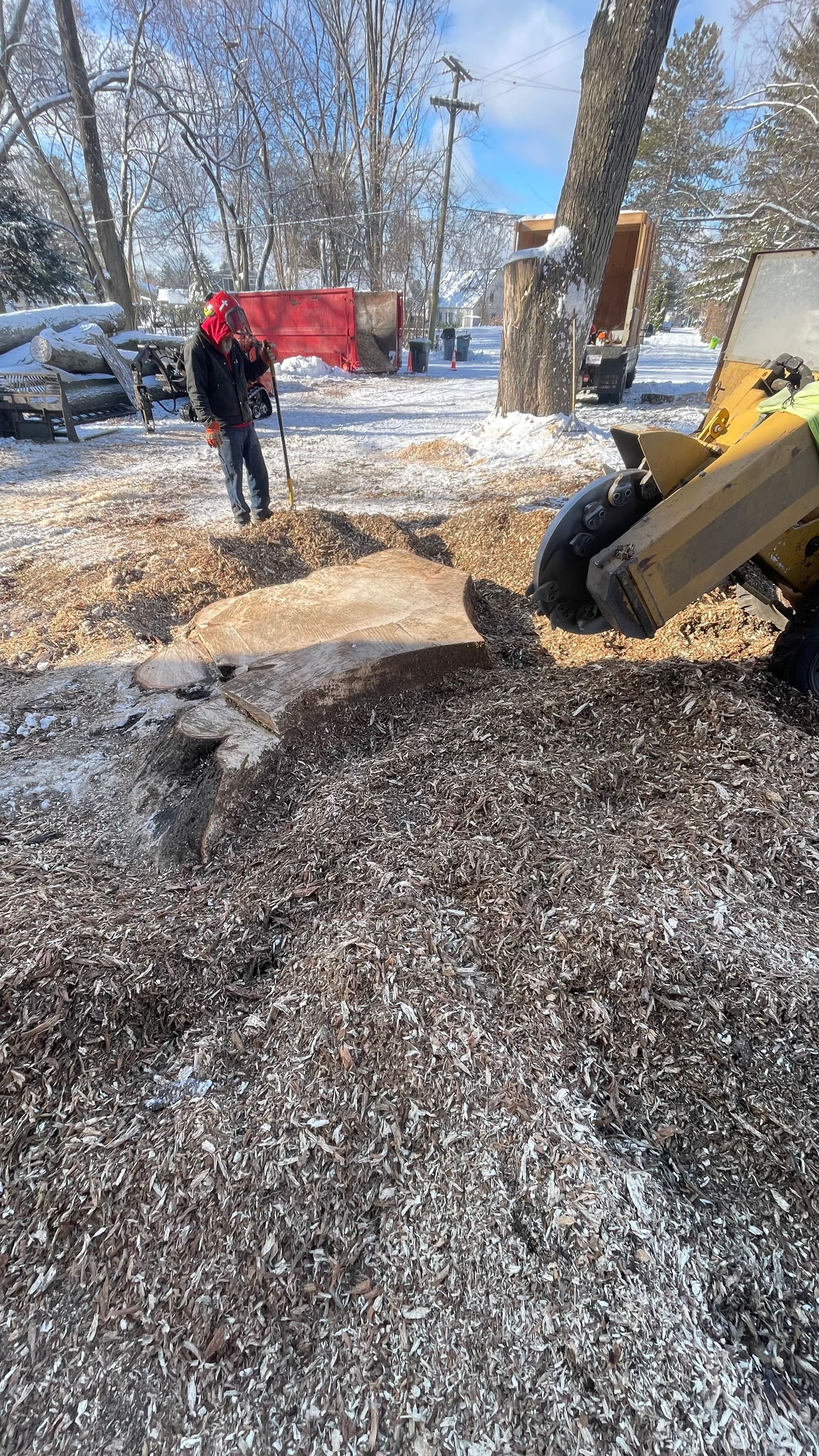 A person uses a stump grinder on a snowy day, creating a large pile of wood chips next to a tree base.