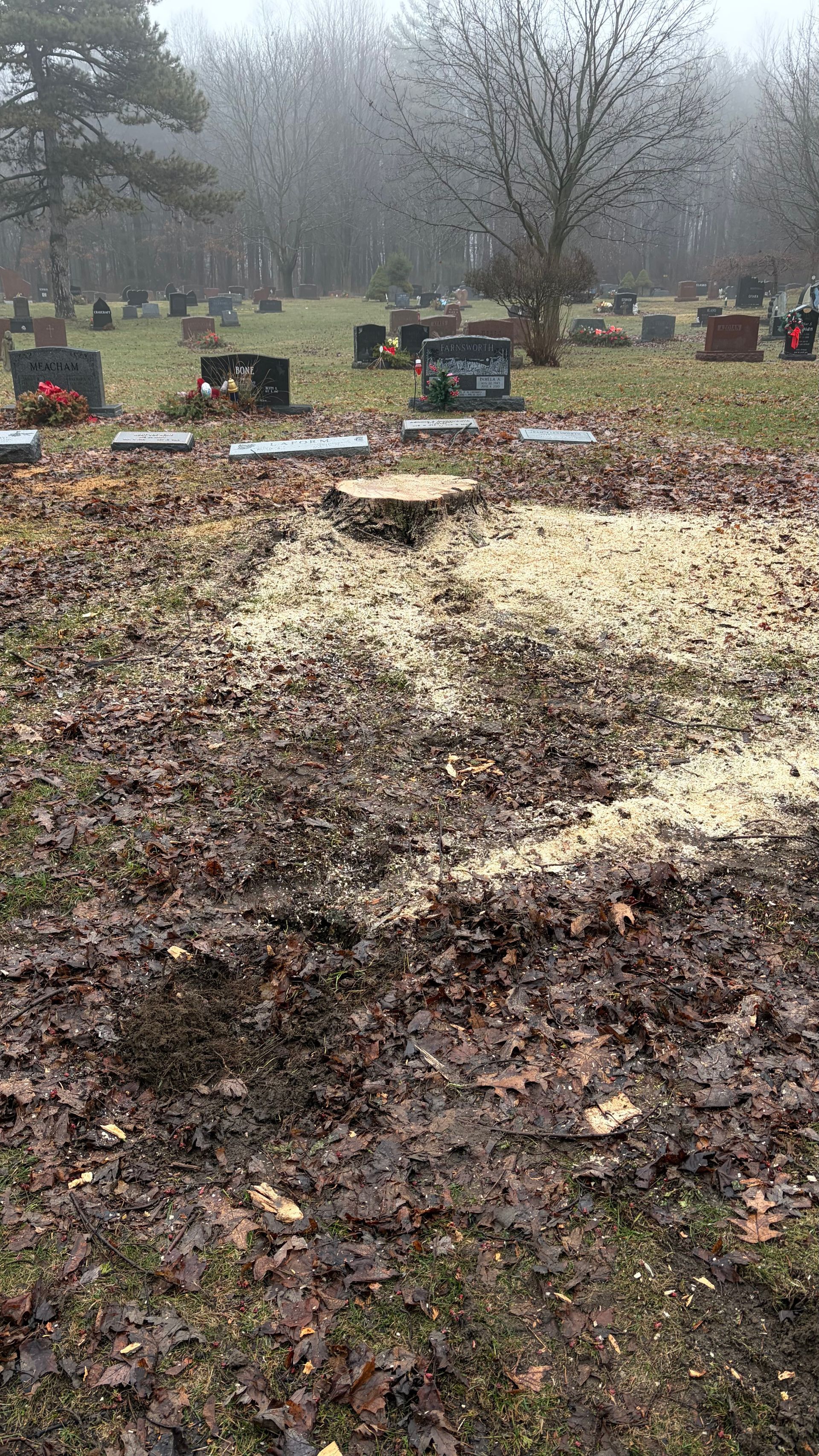 A cemetery with scattered brown leaves, a freshly filled grave site covered in light-colored soil, and markers in the back.