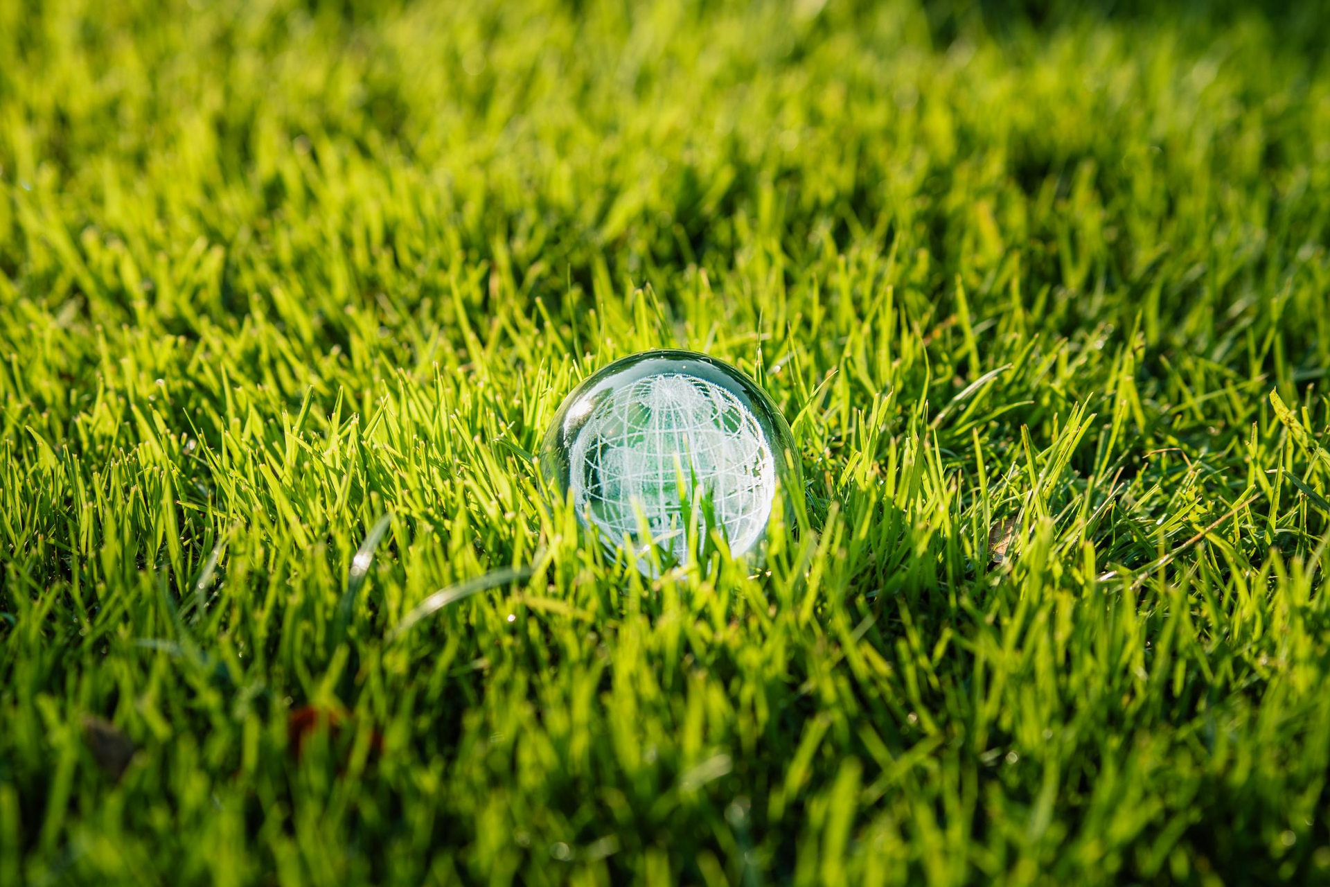 A transparent glass orb reflecting a miniature world sits nestled in a bed of bright green grass.