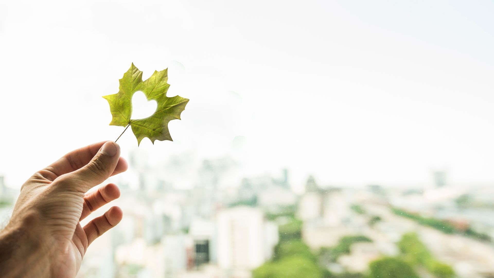 Hand holding a green leaf against a bright blurred cityscape background