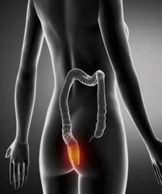 DR. CARLOS IBARRA GONZALEZ - recto