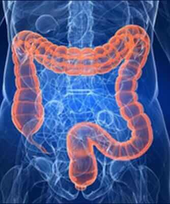 DR. CARLOS IBARRA GONZALEZ - intestino